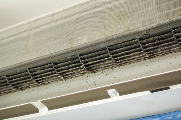 Best Ventilation Cleaning Services  in Belleview, FL